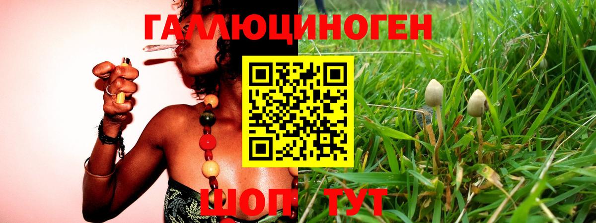 где можно купить   Галлюциногенные грибы прущие грибы  Вход с VPN  Котовск 