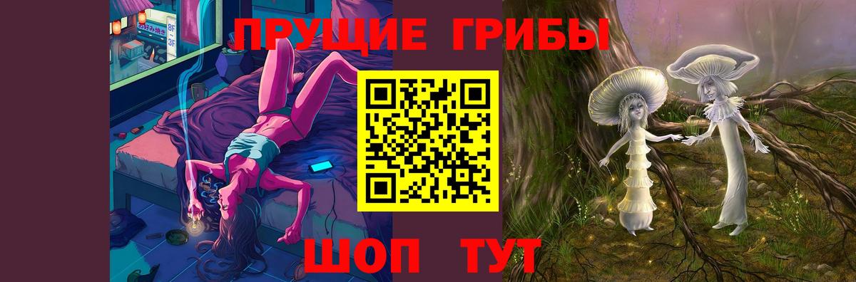 Псилоцибиновые грибы Cubensis Котовск